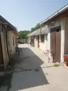 Pest megye - Albertirsa