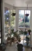 Pest megye - Albertirsa