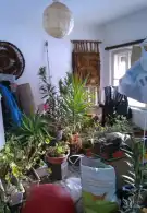 Pest megye - Albertirsa