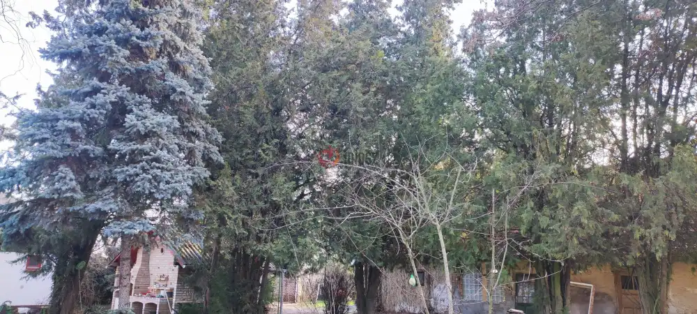 Pest megye - Albertirsa