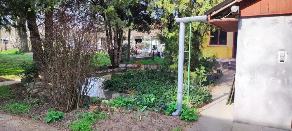 Pest megye - Albertirsa