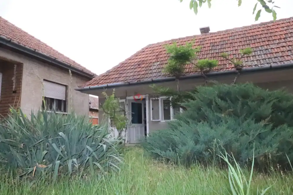 Pest megye - Albertirsa