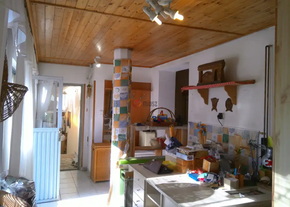 Pest megye - Cegléd