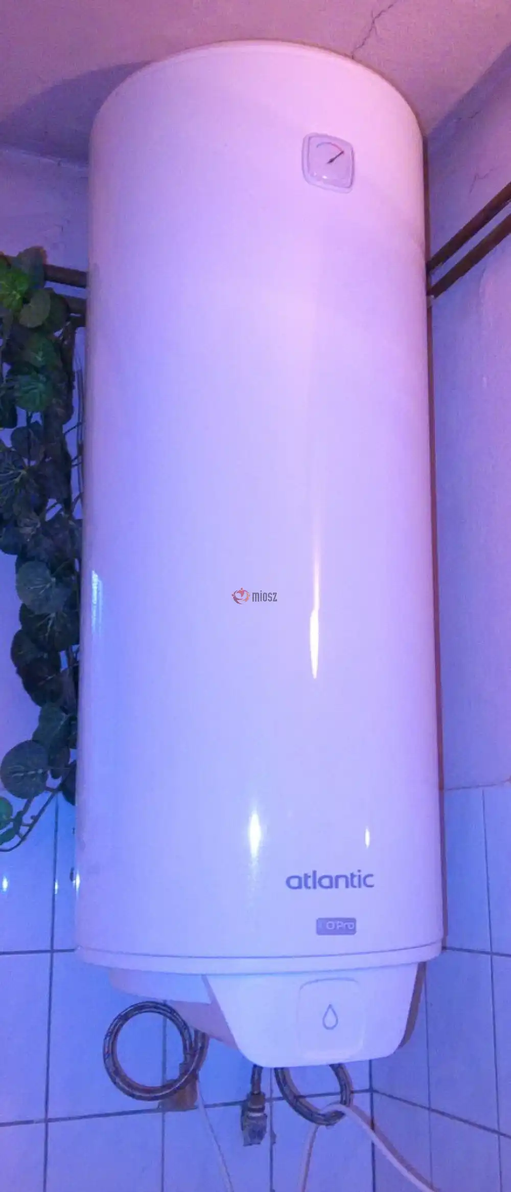 Pest megye - Mikebuda