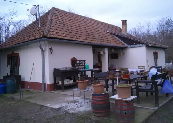 Eladó családi ház, Mikebuda 7 szoba 120 m² 45.9 M Ft