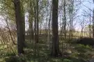 Pest megye - Pilis