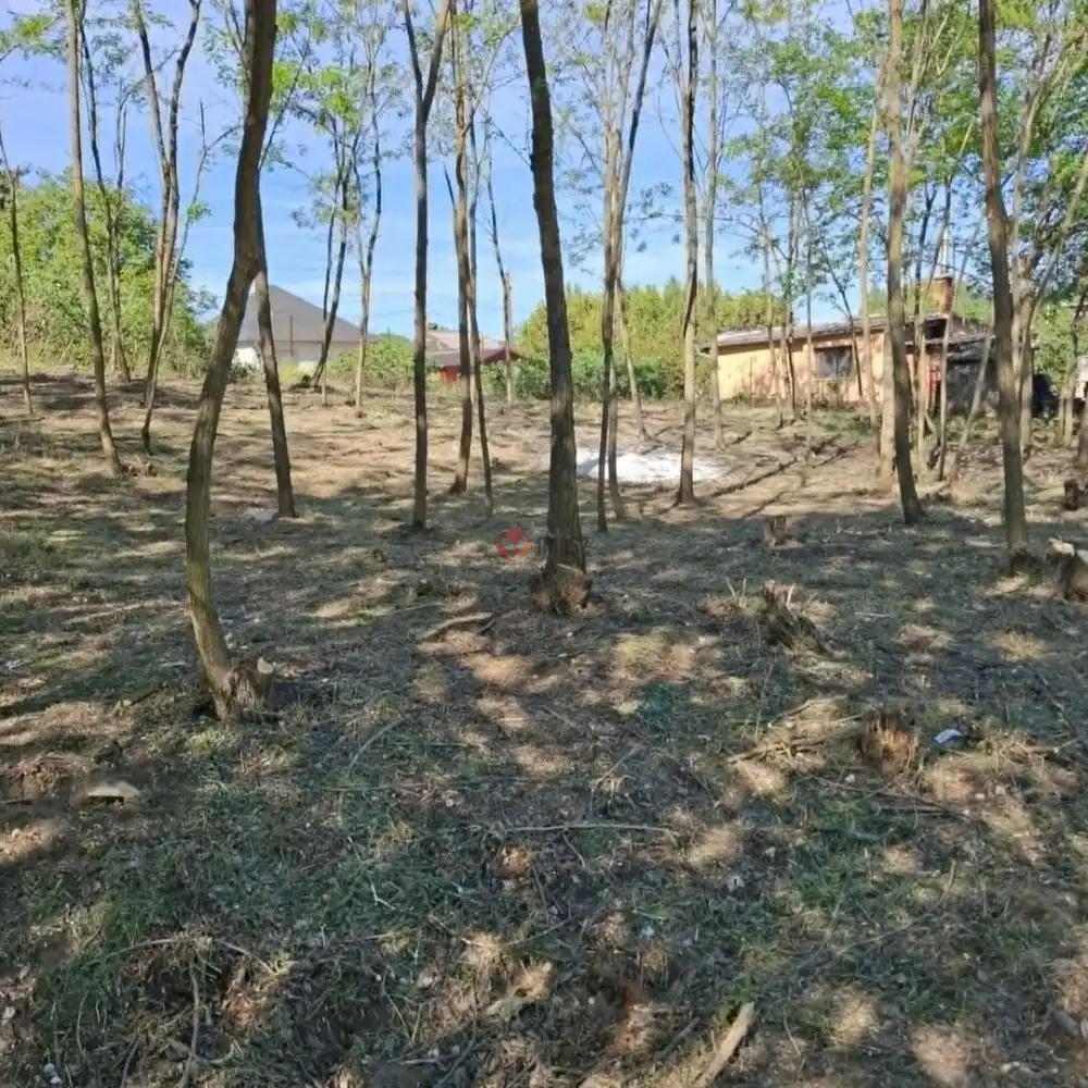 Pest megye - Monorierdő