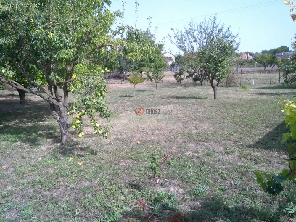 Pest megye - Pilis