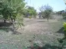 Pest megye - Pilis