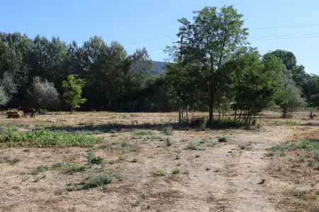 Eladó ipari ingatlan, Piliscsaba 89.99 M Ft
