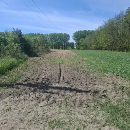 Eladó mezőgazdasági ingatlan, Albertirsa 1956 m² 2.5 M Ft