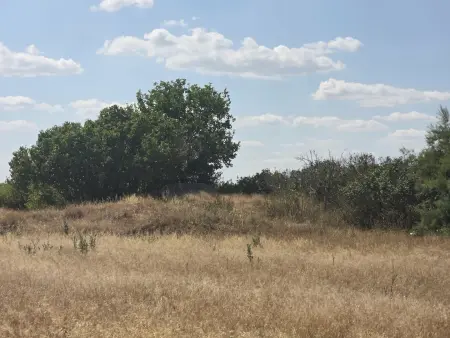 Eladó mezőgazdasági ingatlan, Mikebuda 3769 m² 2.35 M Ft