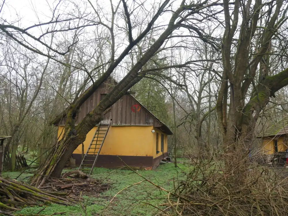 Pest megye - Albertirsa