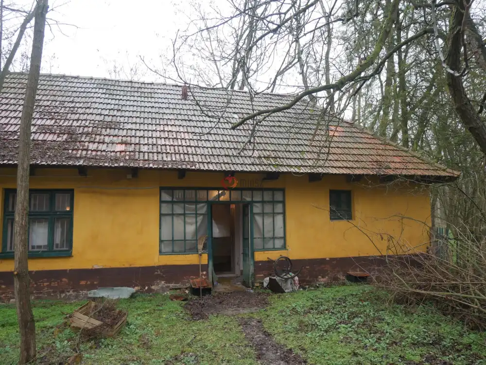 Pest megye - Albertirsa