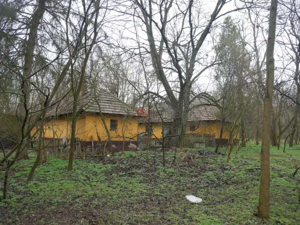 Pest megye - Albertirsa
