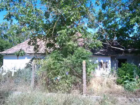 Eladó tanya, Albertirsa 2 szoba 60 m² 7.9 M Ft