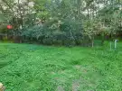 Pest megye - Albertirsa