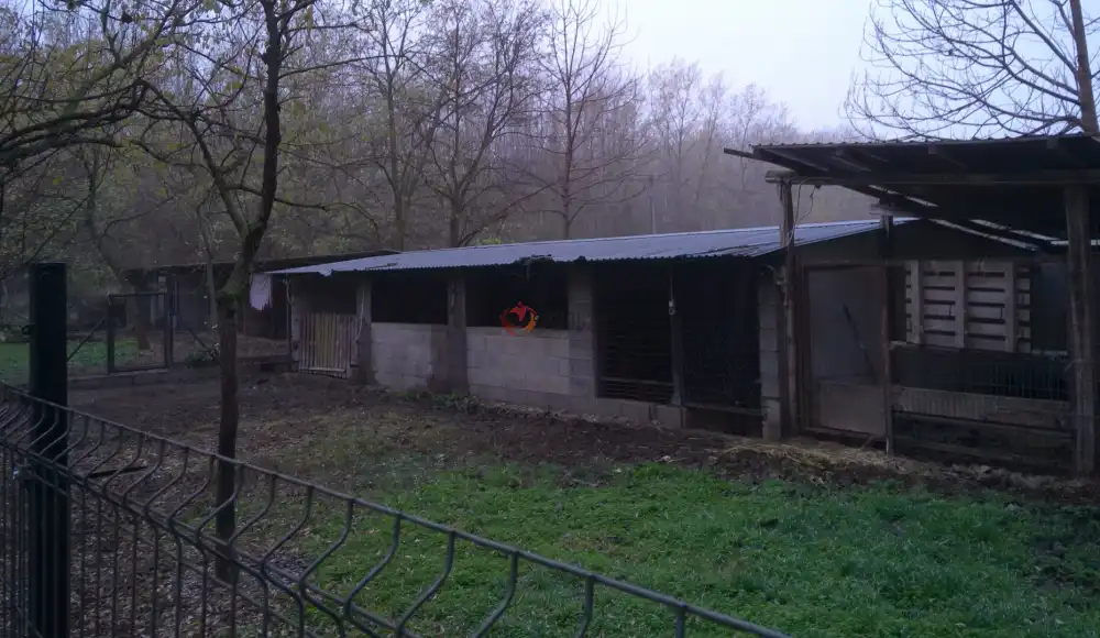 Pest megye - Albertirsa