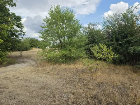 Eladó telek, Albertirsa 2132 m² 12 M Ft
