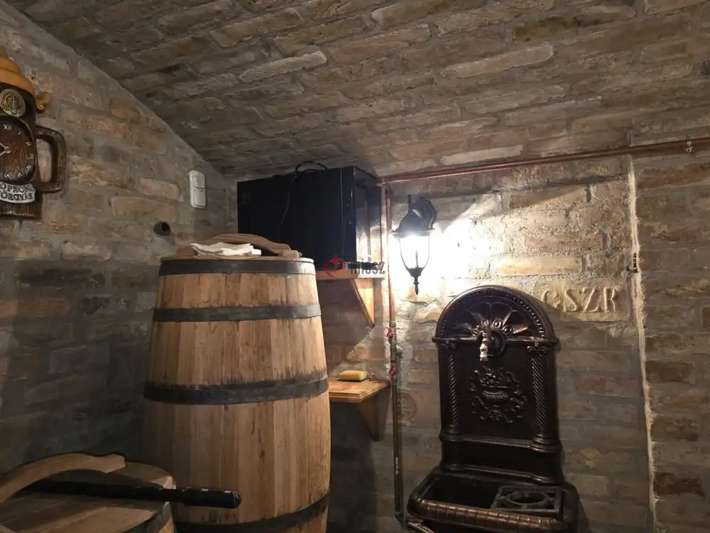 Pest megye - Albertirsa